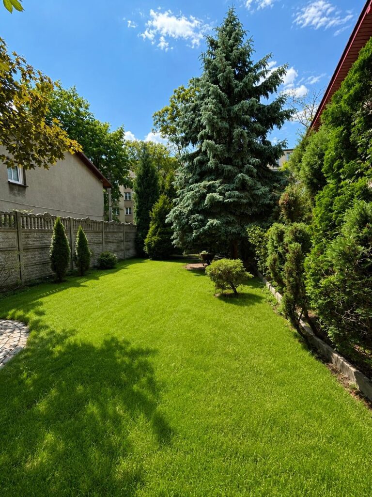 Dom 238 m² na działce 1250 m² – Chorzów,  Batory